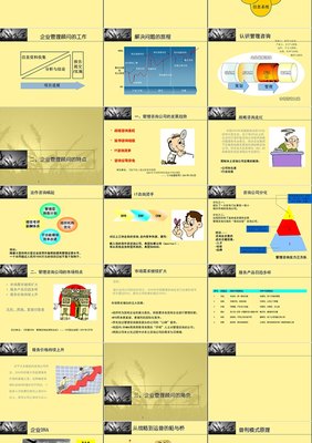 企业管理咨询公司运营管理规划